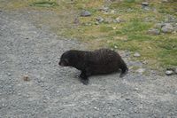 
DSC00066